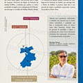 pingo doce vinhos-05.jpg